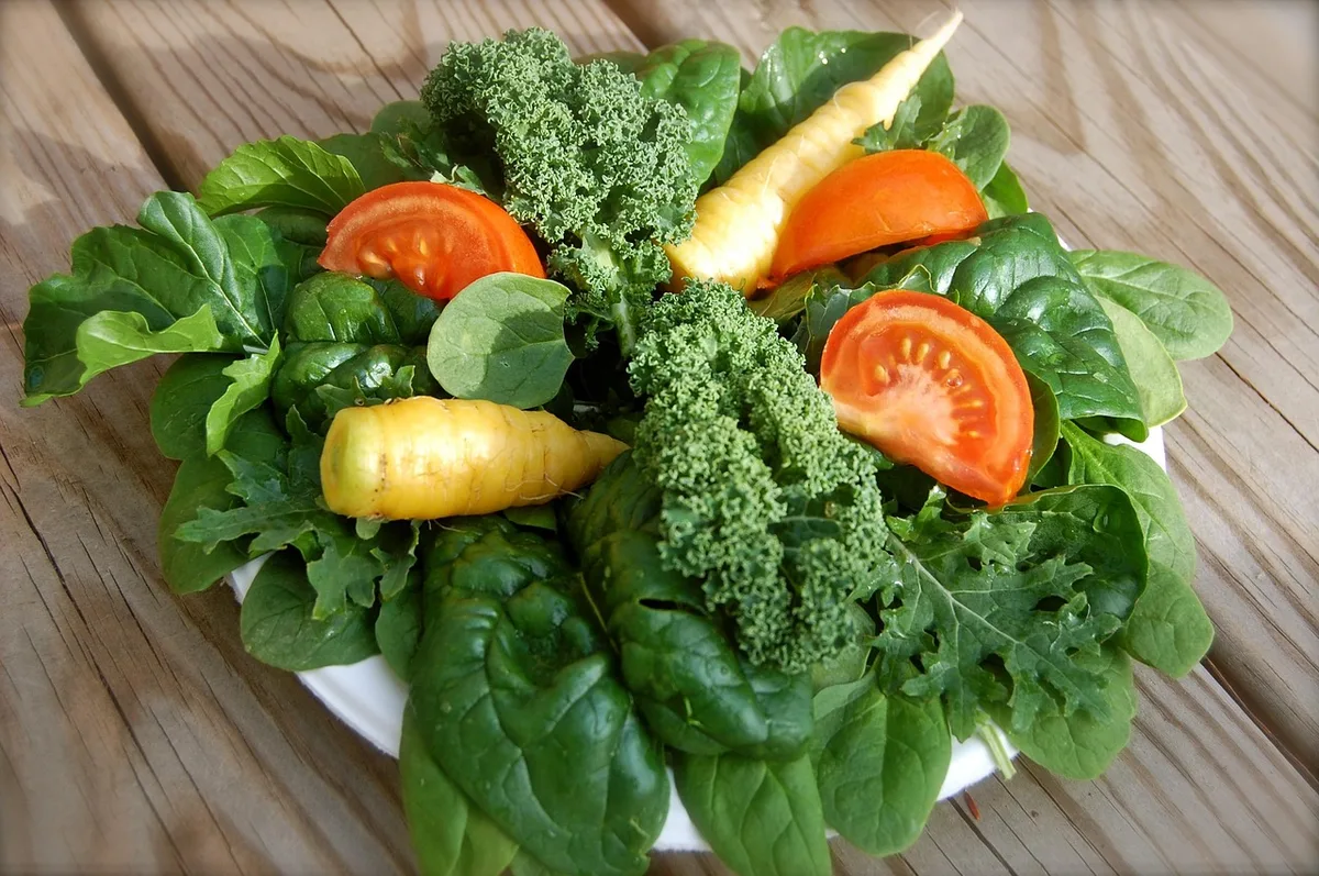 Verdure fraîche et herbes