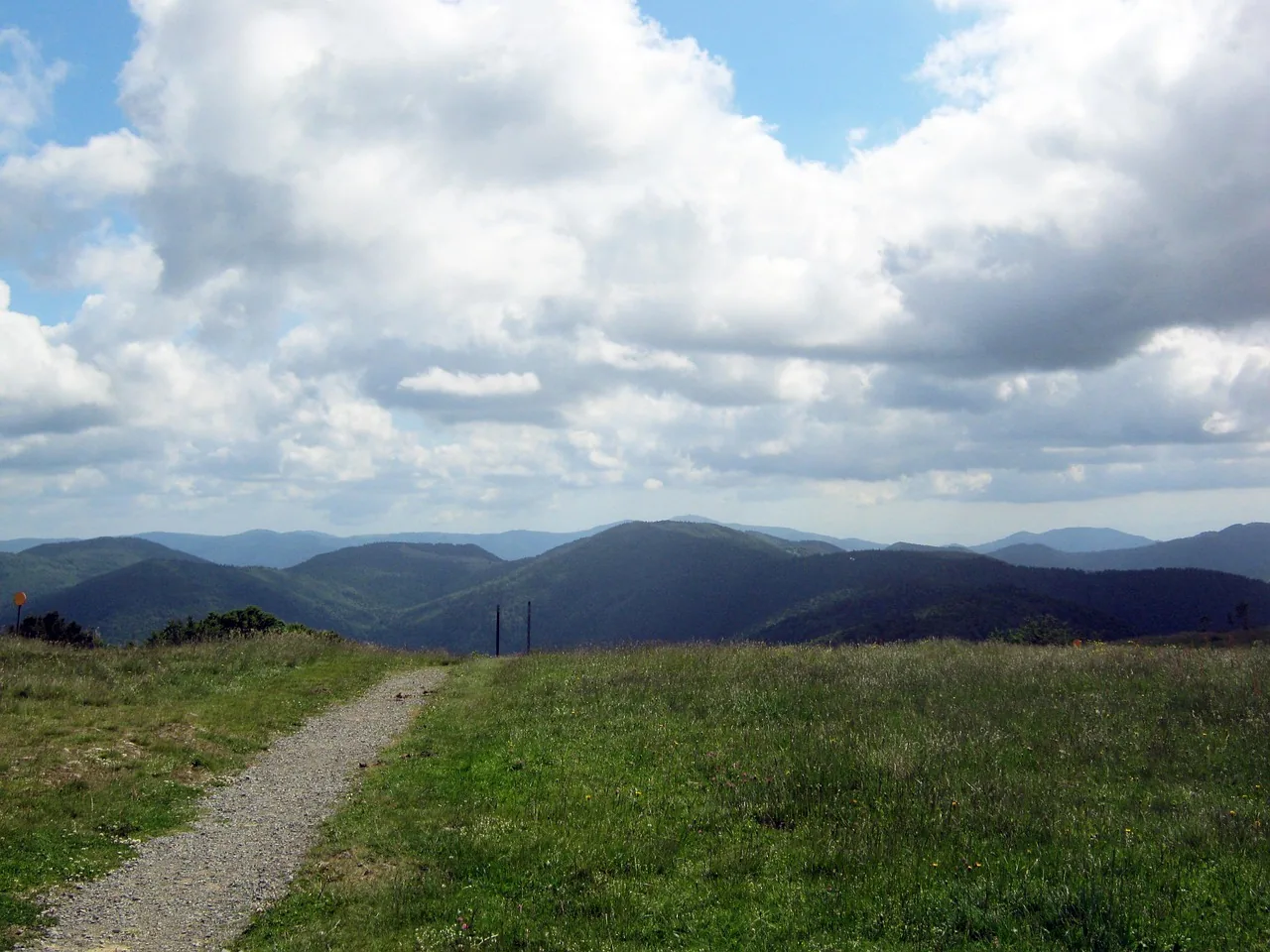 Sentier à travers une prairie vers les montagnes