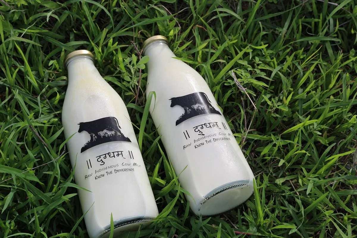 Un verre de lait