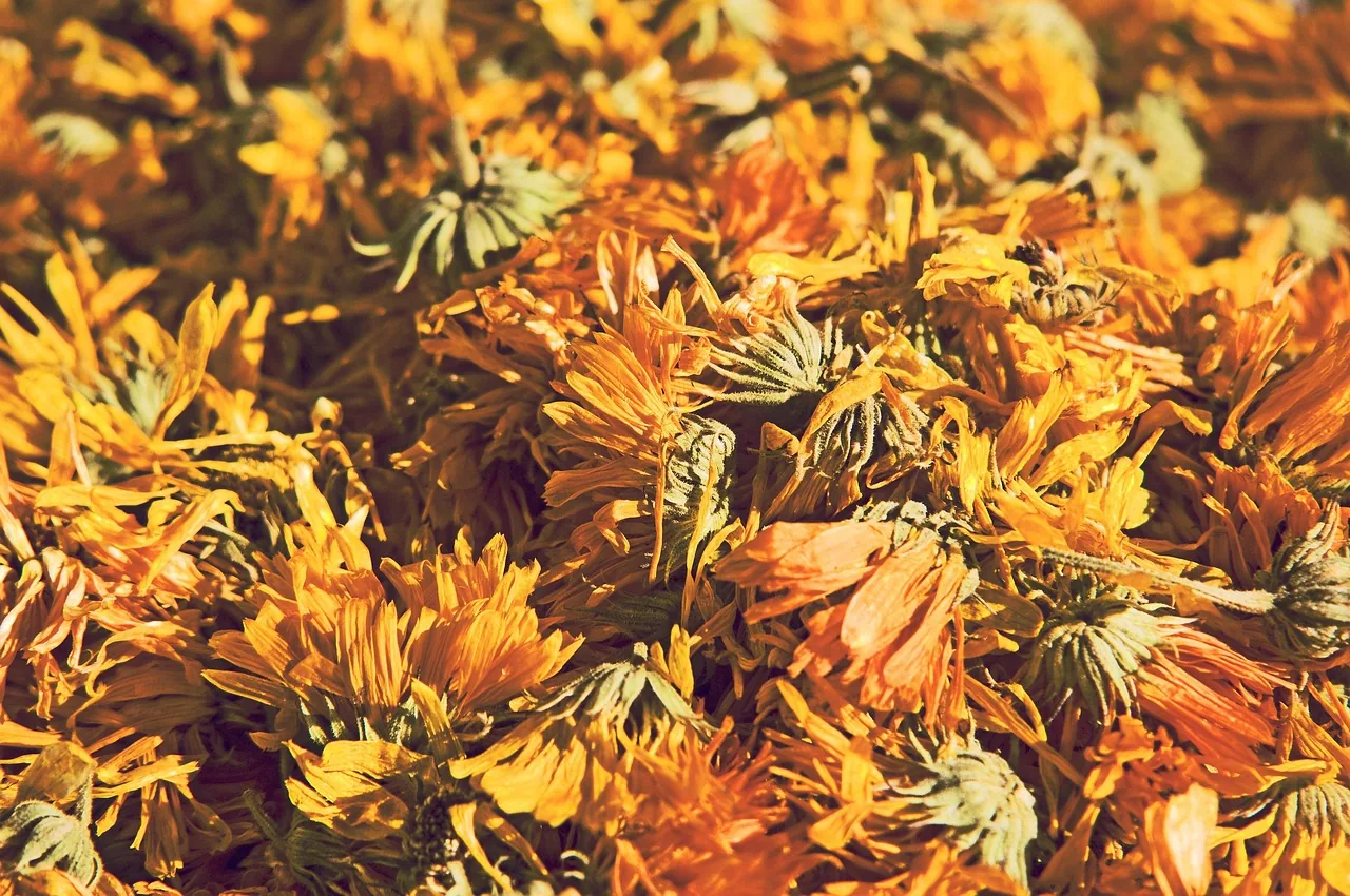 Herbes séchées