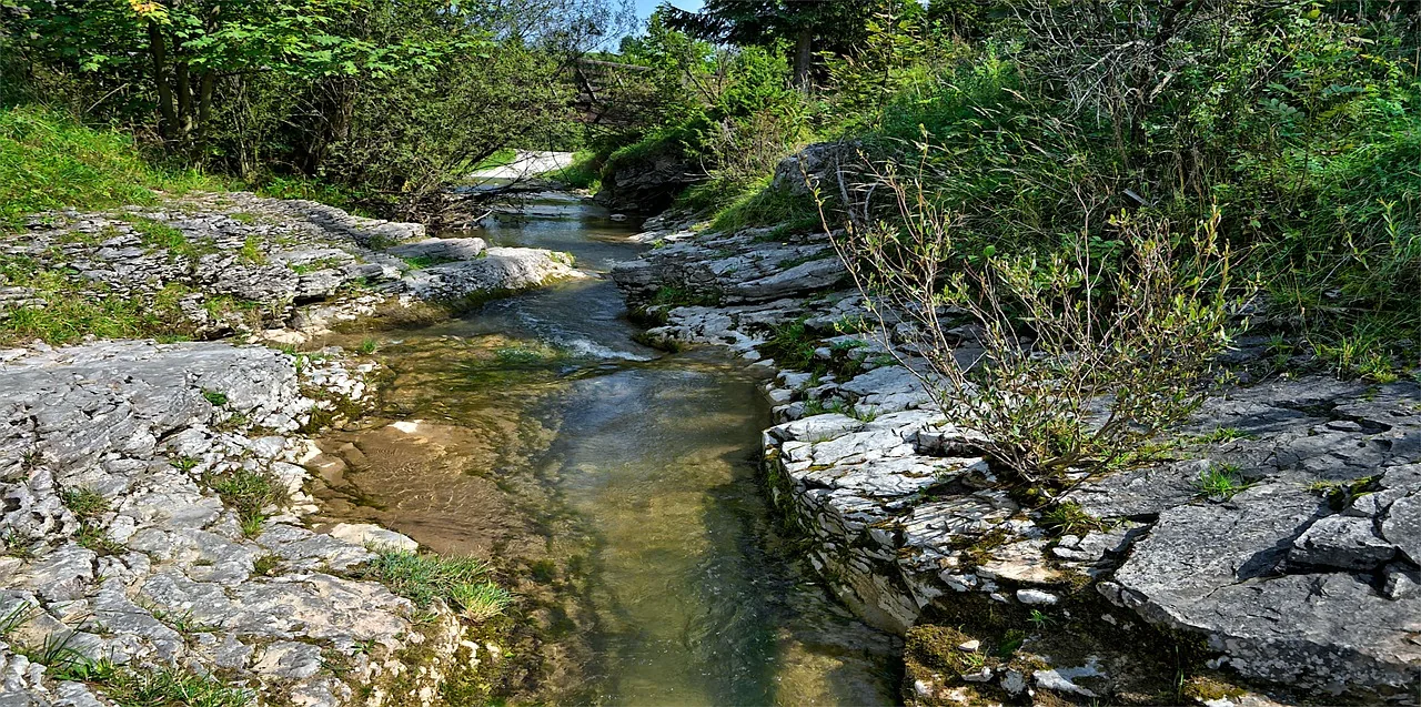 Ruisseau de montagne limpide sur les pierres