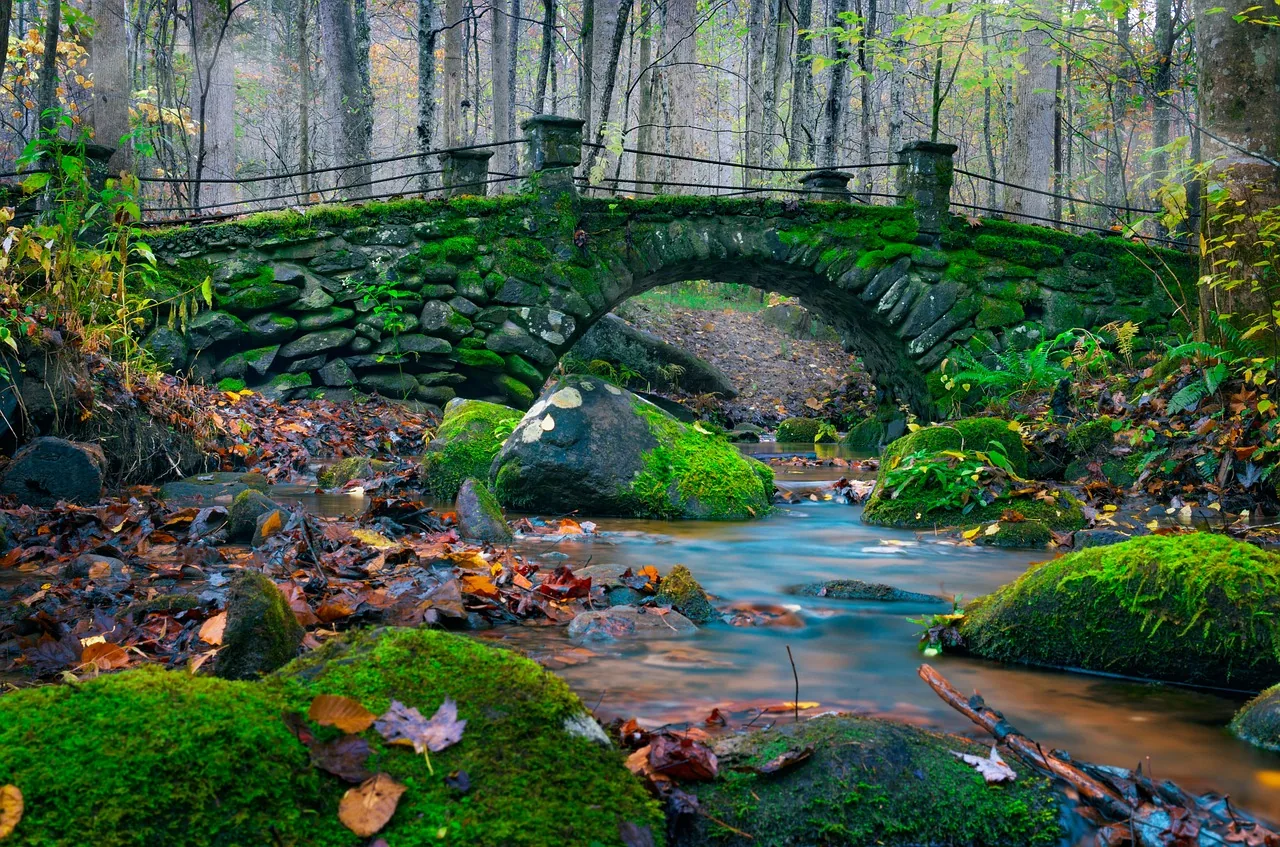 Un pont de pierre sur un ruisseau dans une forêt moussue
