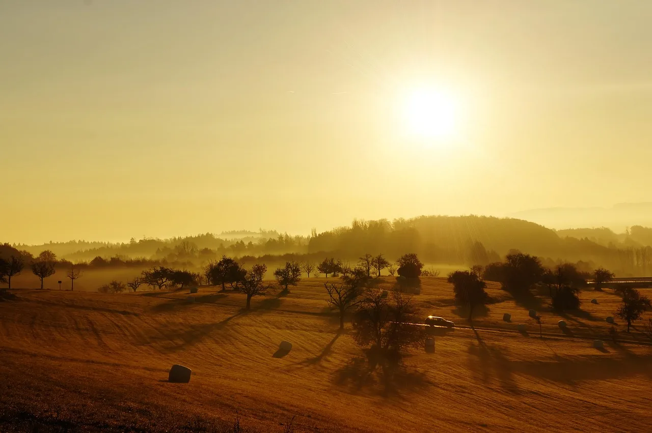 Goldener Sonnenaufgang über sanften Hügeln
